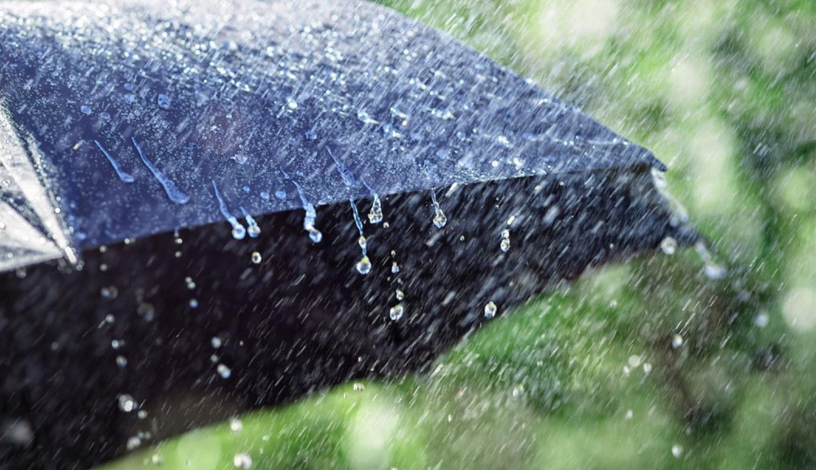 Meteo Balkans предупреждава: Жълт код за силен вятър и проливни дъждове до 40 л/кв.м в няколко области
