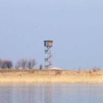 Йордан е първият обитател на Вишката в „Игри на волята“, Виктория напусна Блатото след 48 дни